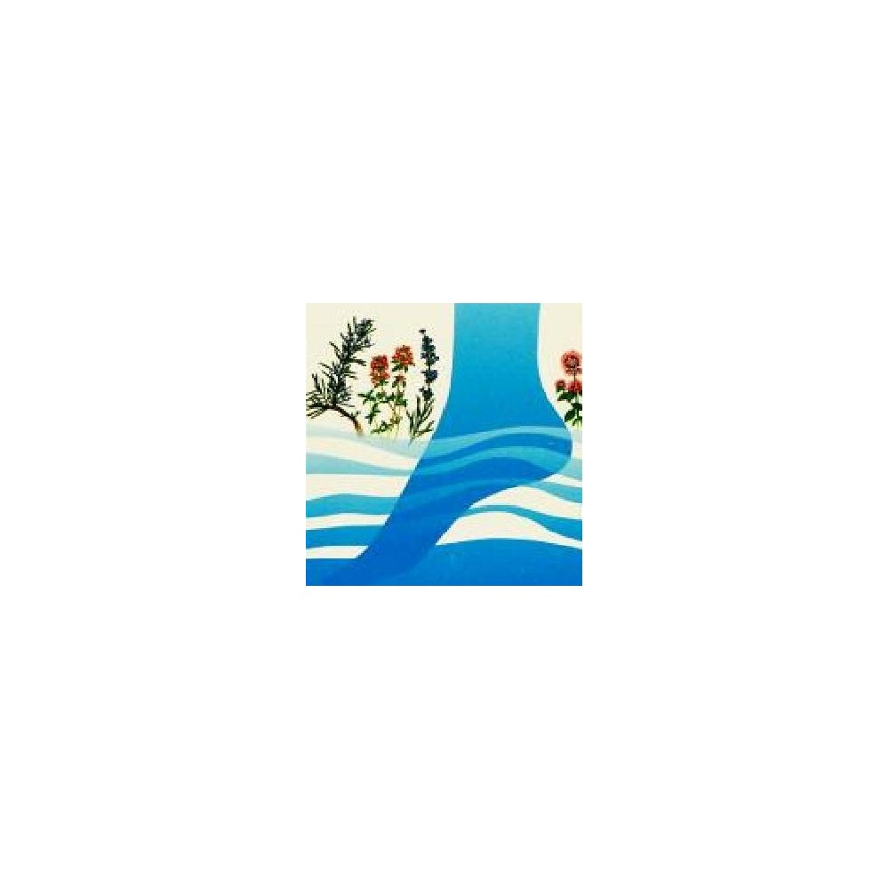 PACK PROMO THALASSO PIEDS - HAUT DE GAMME